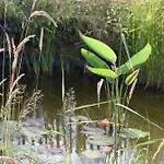 L'oasis D'yza