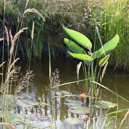 L'oasis D'yza